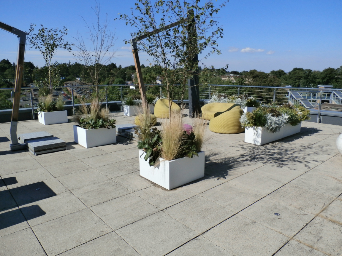 Picture of roof garden in July 2026